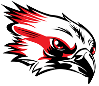 Mason City Schools logo