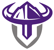 Stoughton High School logo