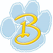 Bath Local School District logo
