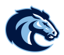 Christian Brothers Academy logo