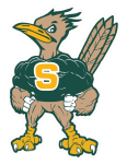 Saddleback High School logo
